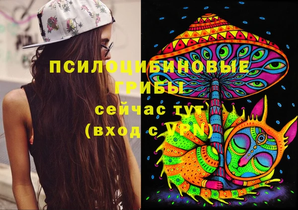 спиды Алексин