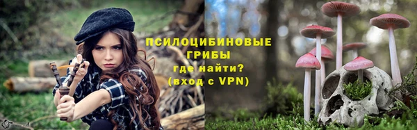 круглые Алзамай