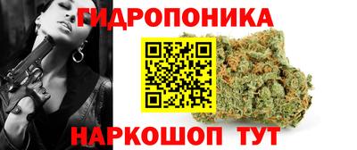 стаф Пенза