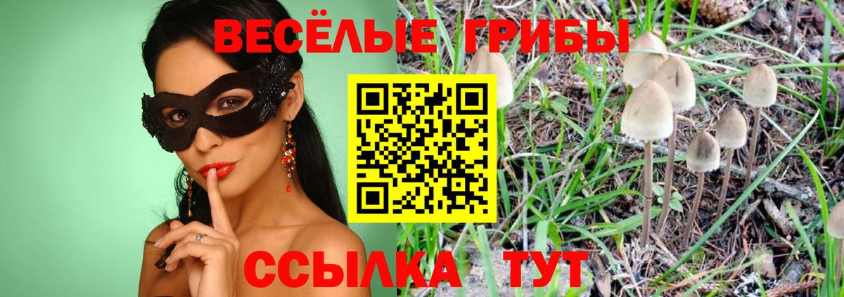 Псилоцибиновые грибы GOLDEN TEACHER  Вход с VPN  Балашов 